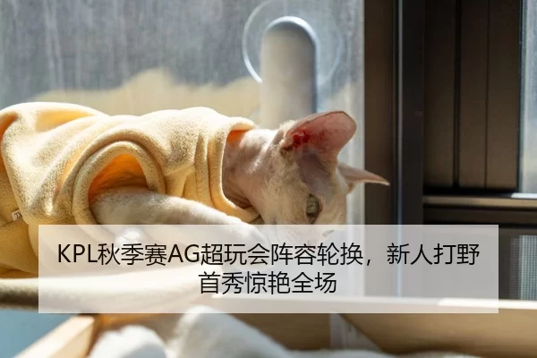 KPL秋季赛AG超玩会阵容轮换，新人打野首秀惊艳全场