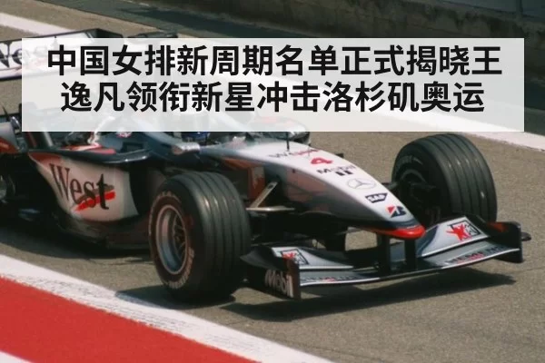 中国女排新周期名单正式揭晓王逸凡领衔新星冲击洛杉矶奥运